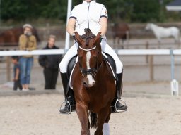 IMG_8190_web
